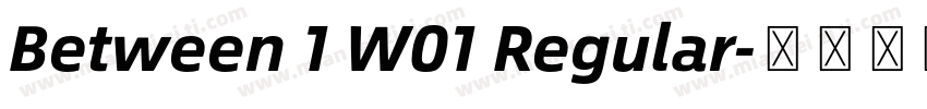 Between 1 W01 Regular字体转换